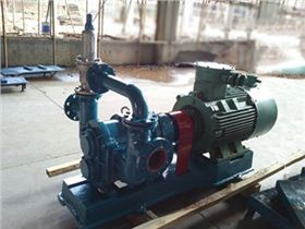 羅德轉(zhuǎn)子泵 羅德轉(zhuǎn)子泵