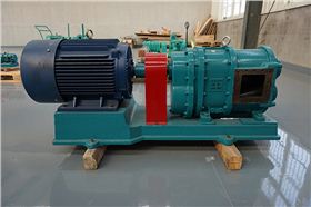 待發(fā)貨中羅德凸輪轉(zhuǎn)子泵 待發(fā)貨中羅德凸輪轉(zhuǎn)子泵