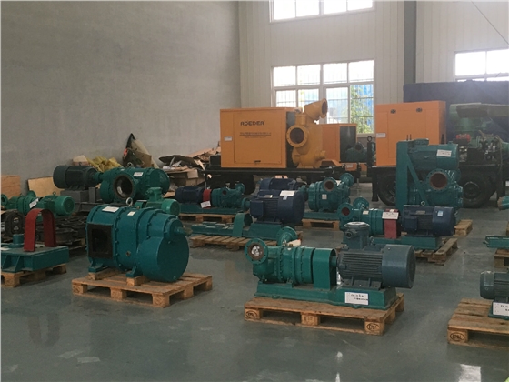 凸輪轉(zhuǎn)子泵 凸輪轉(zhuǎn)子泵