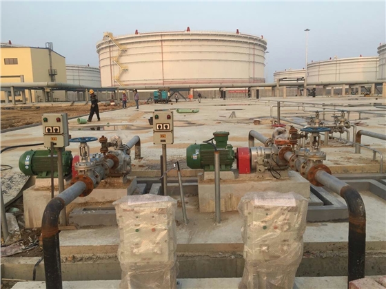 節(jié)能轉子泵 節(jié)能轉子泵