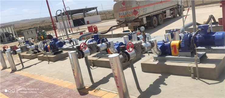 羅德燃料油轉子泵 羅德燃料油轉子泵