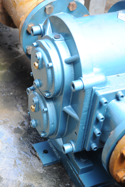 DSC_8316.jpg DSC_8316.jpg