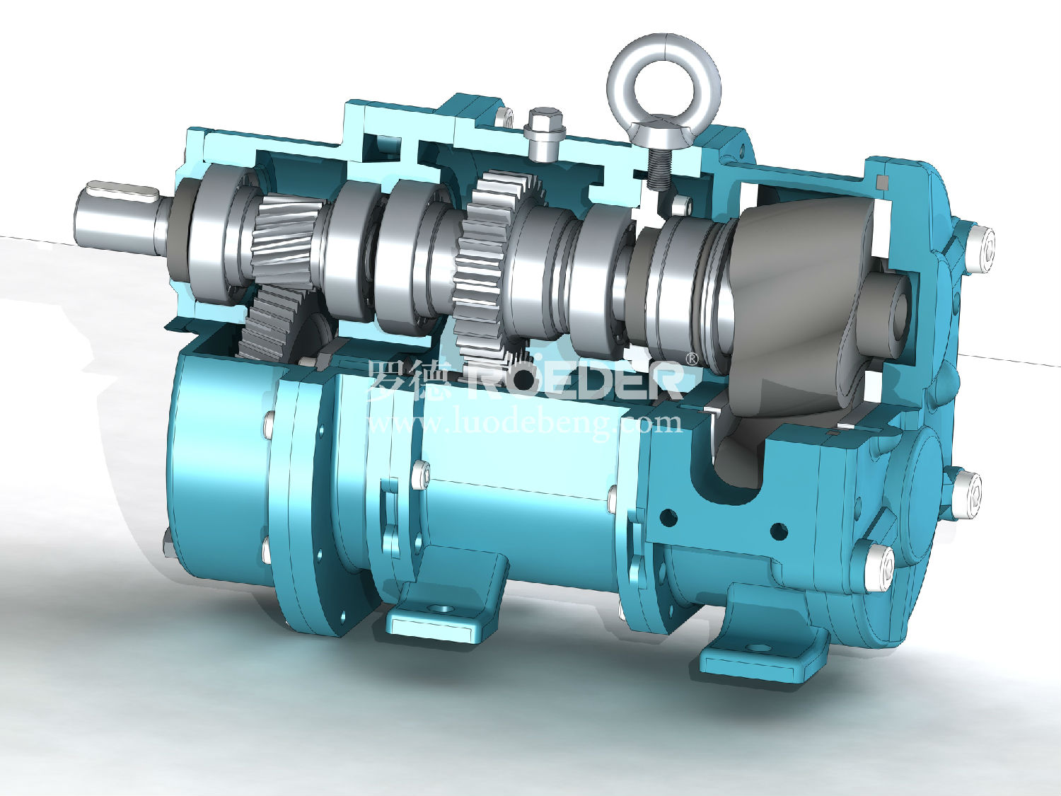 凸輪轉(zhuǎn)子泵 凸輪轉(zhuǎn)子泵