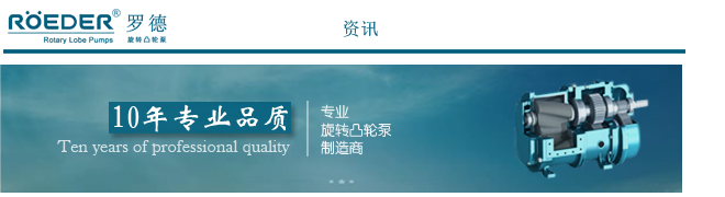 轉(zhuǎn)子泵 轉(zhuǎn)子泵