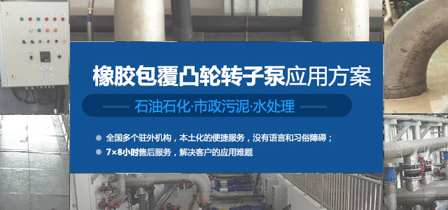 專業(yè)的凸輪轉(zhuǎn)子泵應用方案提供者和服務的創(chuàng)新領袖