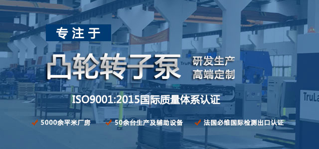 凸輪轉(zhuǎn)子泵生產(chǎn)廠家，專注于凸輪轉(zhuǎn)子泵的研發(fā)生產(chǎn)，高端定制